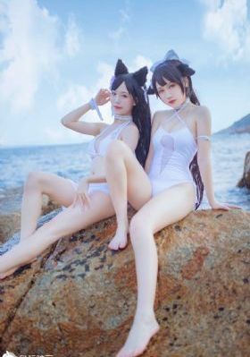 电视剧《惊弦》在线观看_国产剧电影完整版在线观看